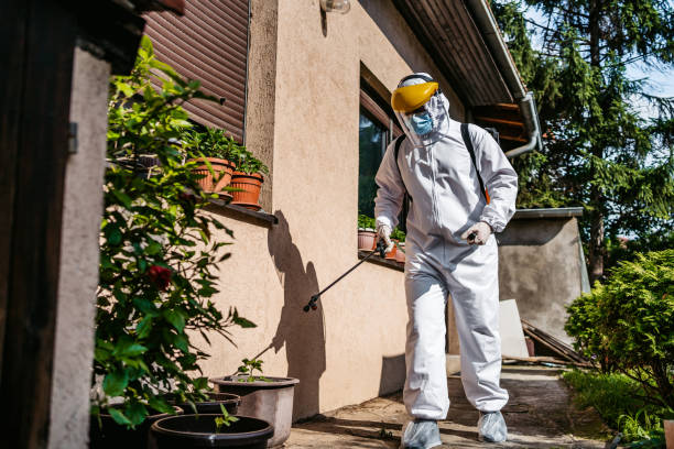 Best Exterminator Services  in Peculiar, MO