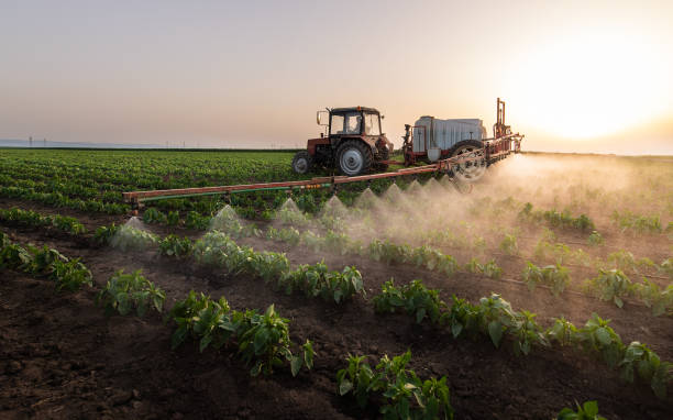 Professional Pest Control in Peculiar, MO