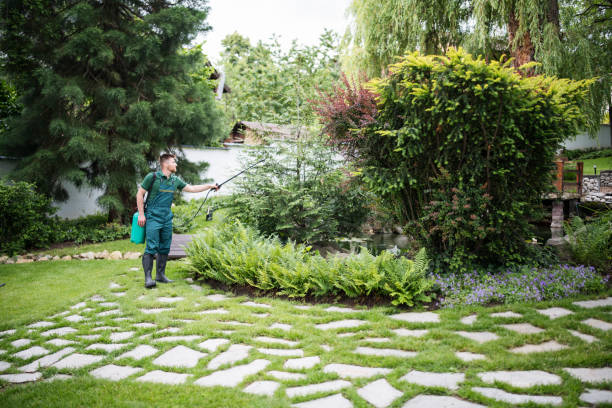 Wasp Removal Services in Peculiar, MO