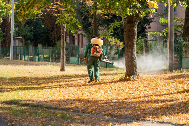 Insect Control in Peculiar, MO